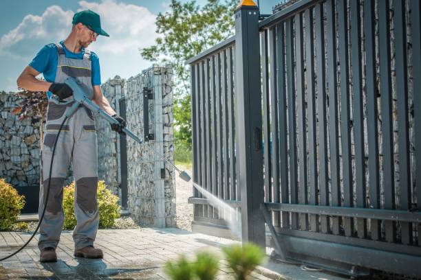 Best Solar Panel Cleaning  in Vega, TX